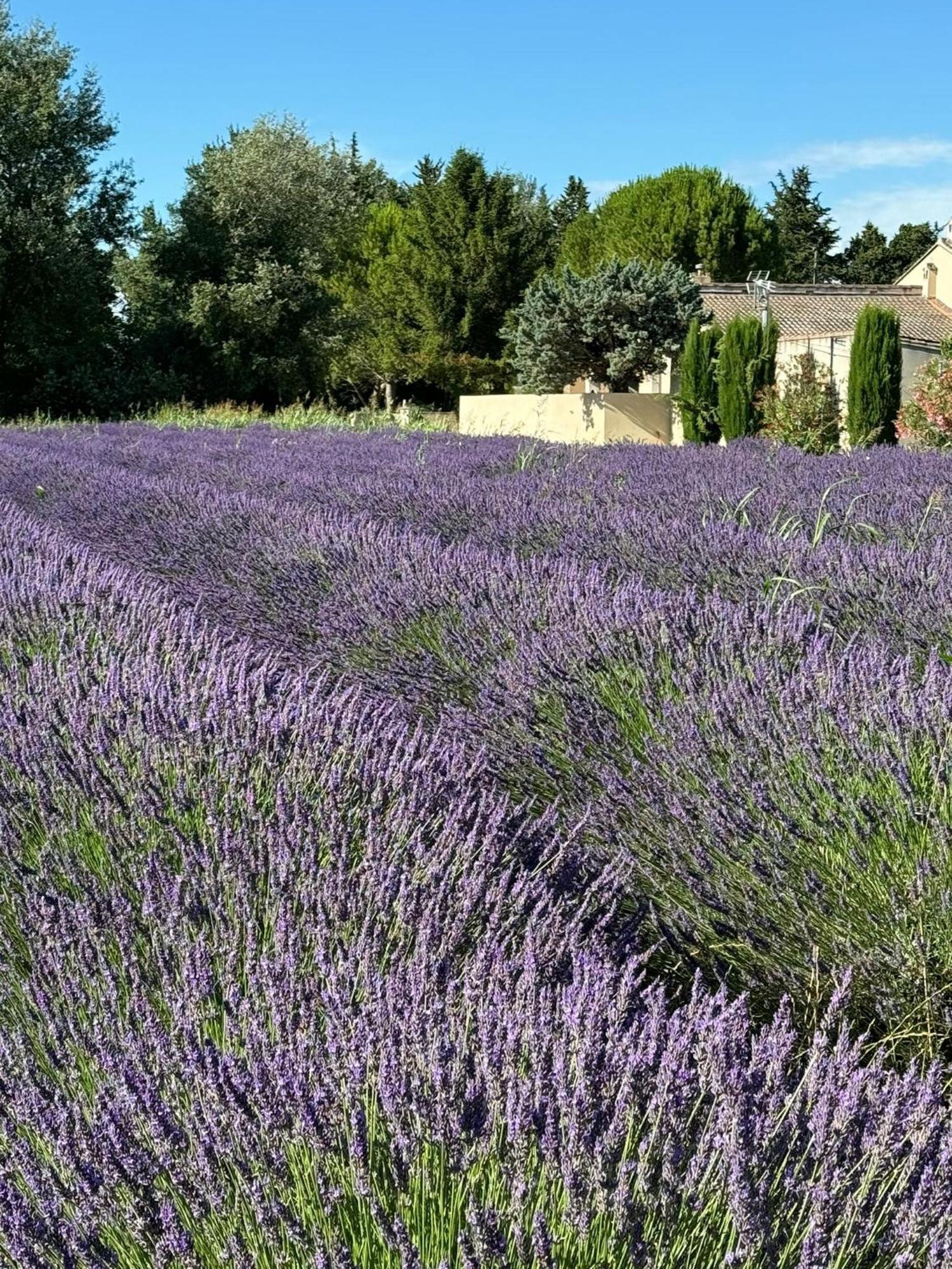 Appartement Neuf Et Au Calme Proche Avignon Althen-des-Paluds Bagian luar foto