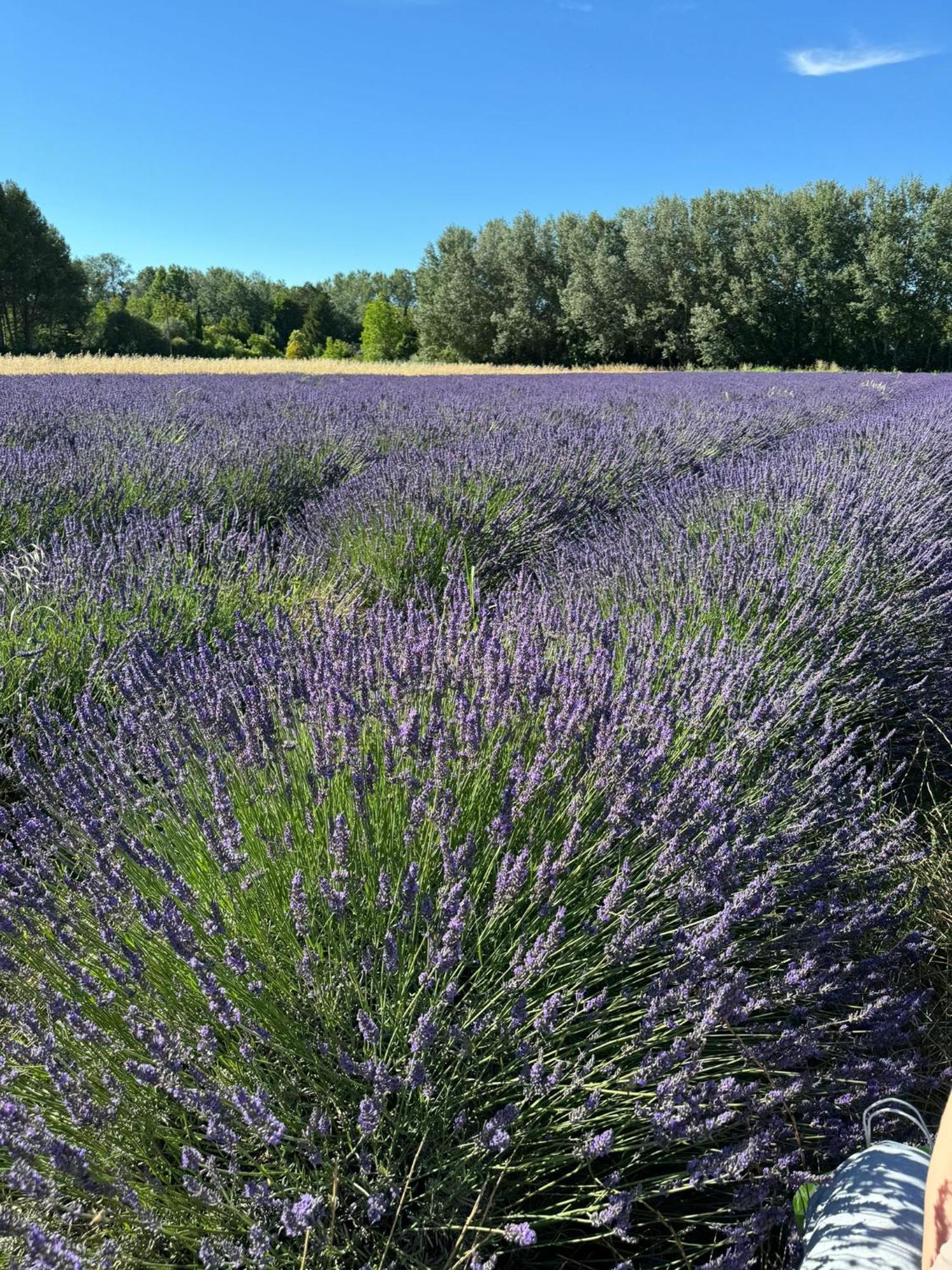 Appartement Neuf Et Au Calme Proche Avignon Althen-des-Paluds Bagian luar foto